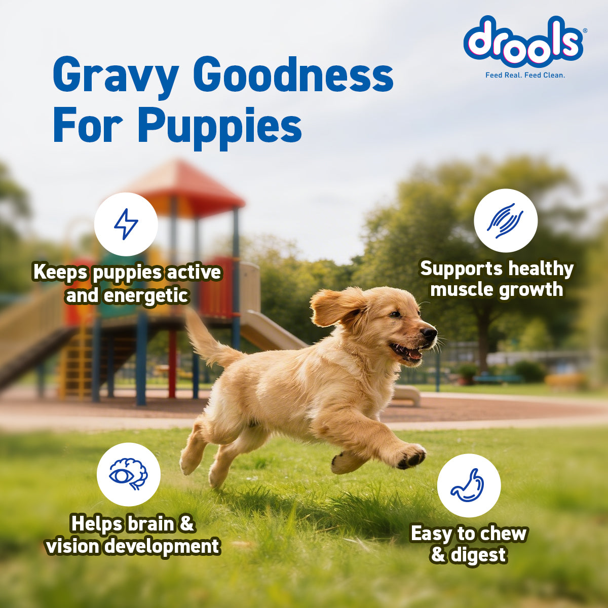 Drools Chicken & Liver Puppy Gravy | Wet Dog Food