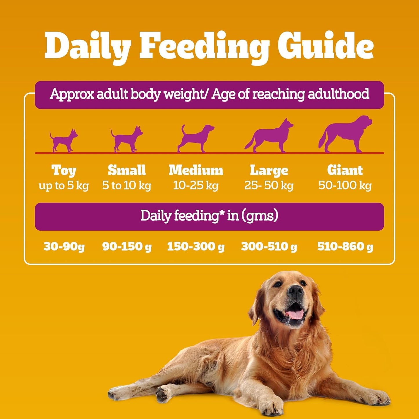 Pedigree Adult Chicken Biryani | Dry Dog Food