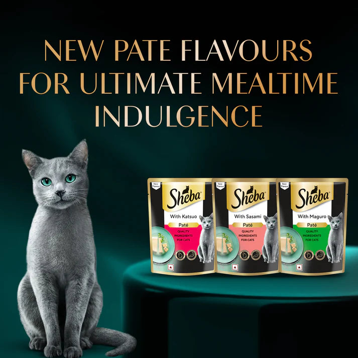 Sheba Maguro Pate | Wet Cat Food