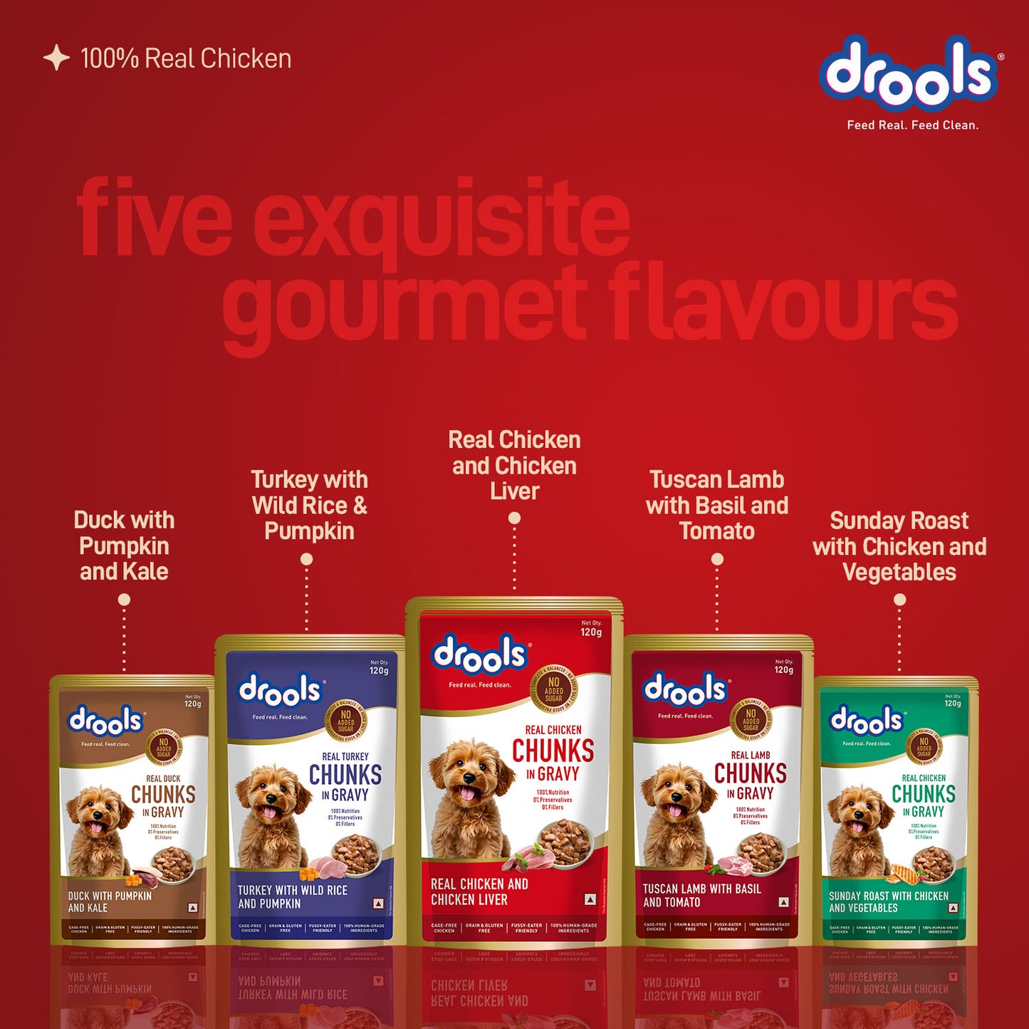 Drools Adult Chicken & Chicken Liver Gravy | Wet Dog Food