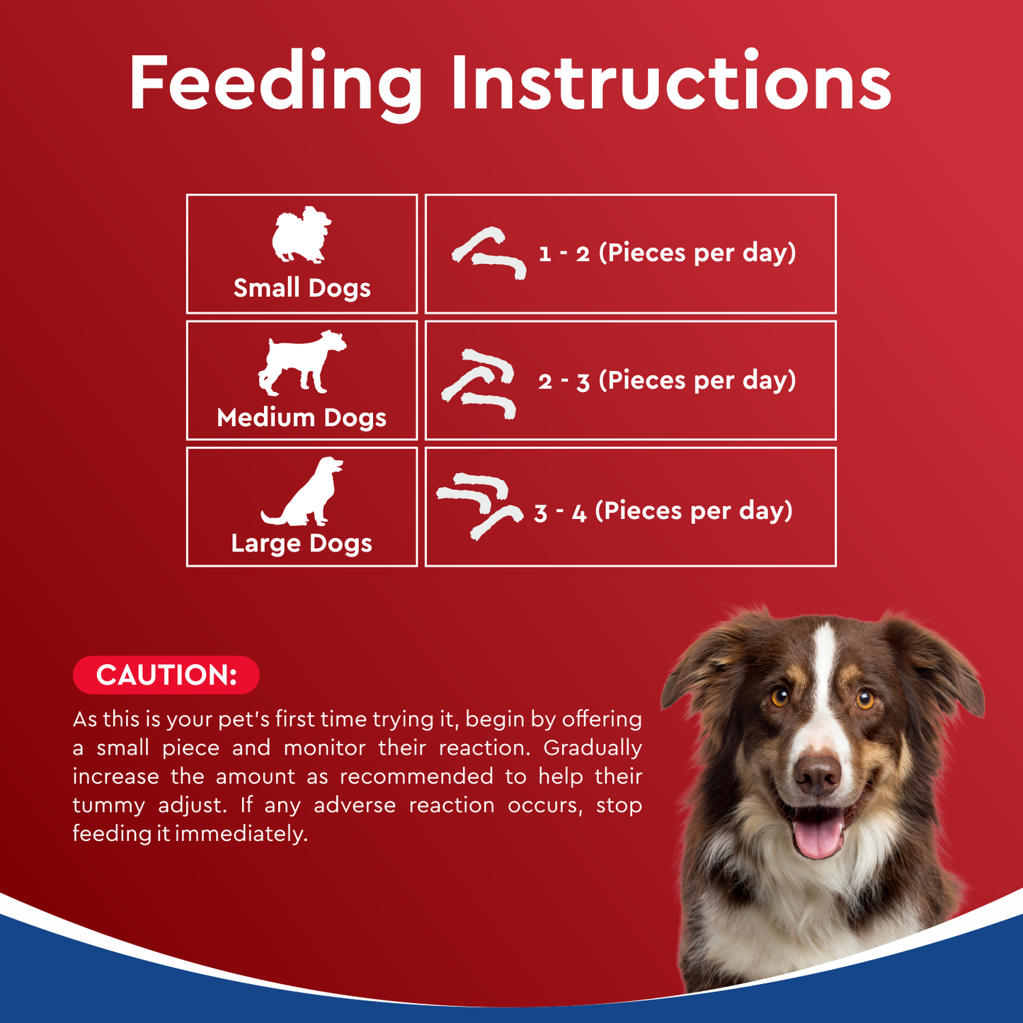 Drools Dehydrated Chicken Neck | Dry Dog Treats
