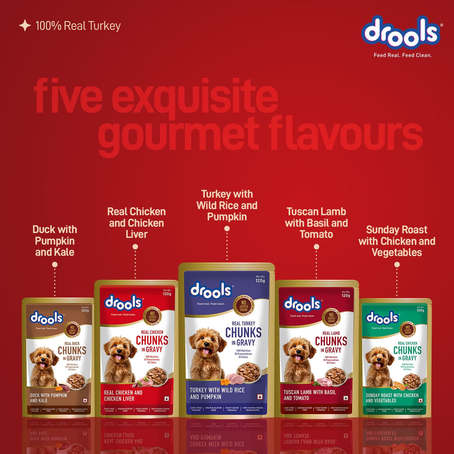 Drools Adult Turkey with Wild Rice & Pumpkin Gravy | Wet Dog Food