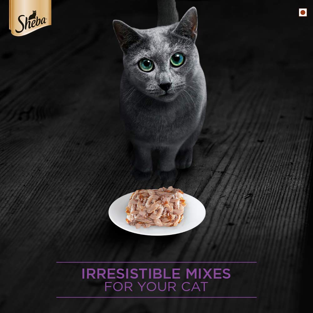 Sheba Tuna Filets in Jelly - 85 gm | Wet Cat Food
