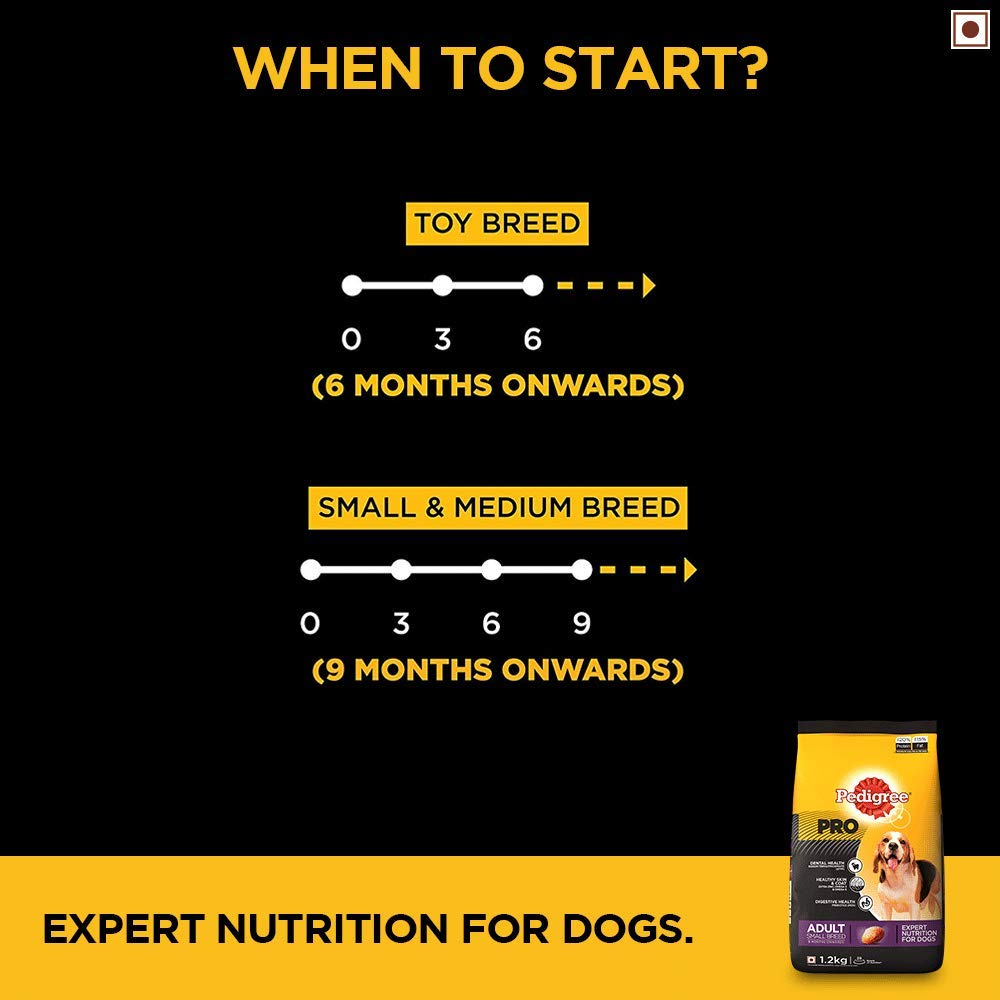 Pedigree Pro Adult Small Breed | Dry Dog Food