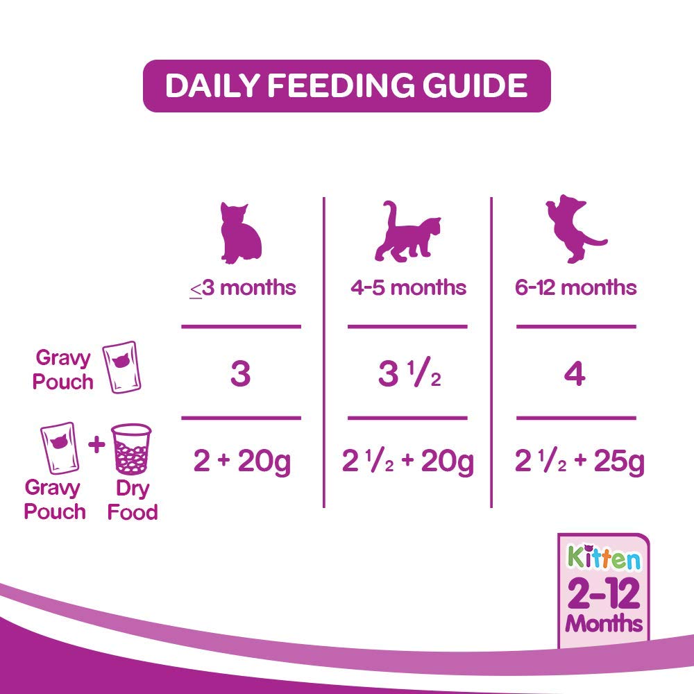 Whiskas Kitten Chicken Gravy | Wet Cat Food
