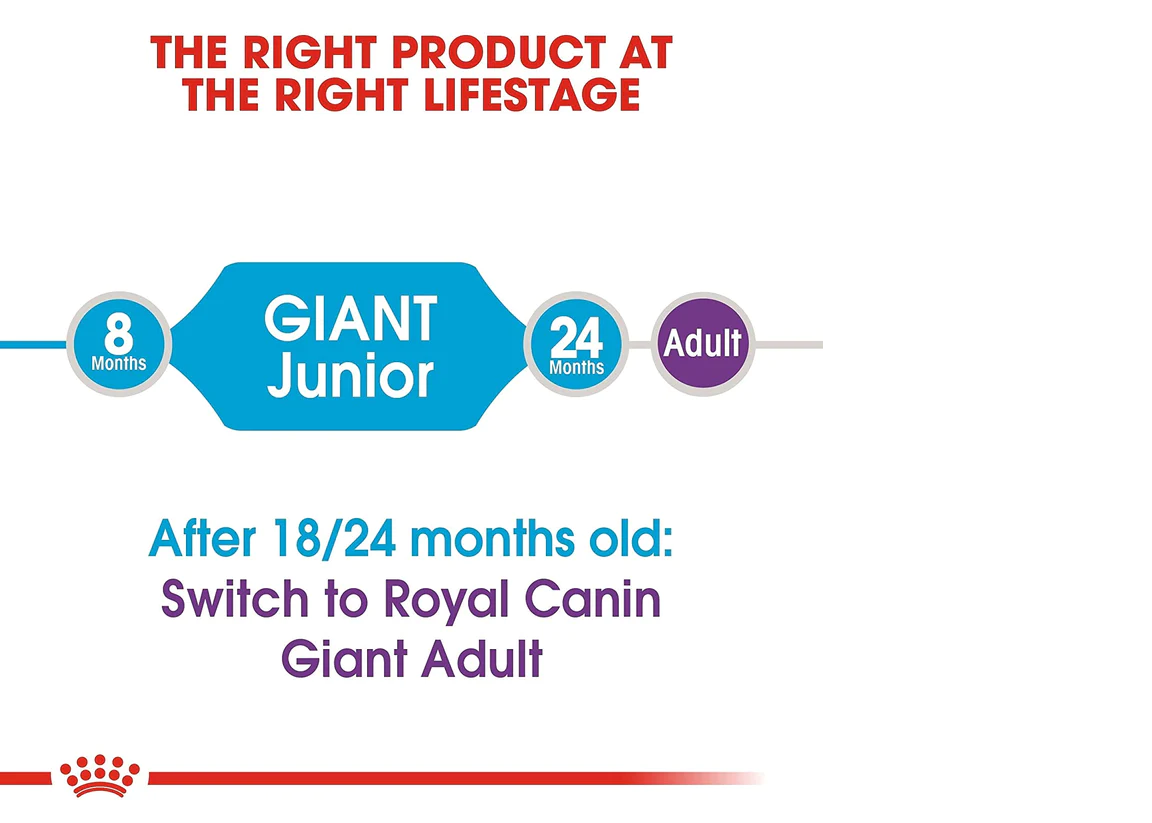 Royal Canin Giant Junior | Dry Dog Food