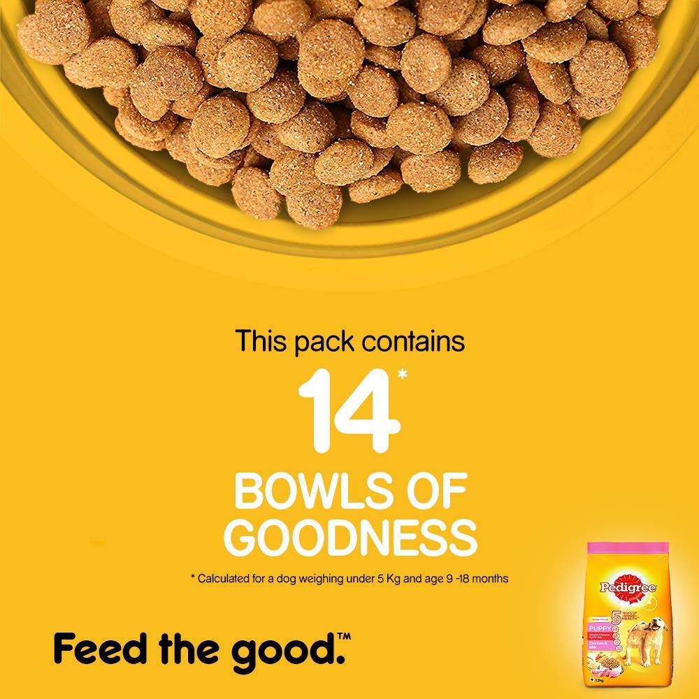 Pedigree Puppy Chicken & Milk | Dry Dog Food