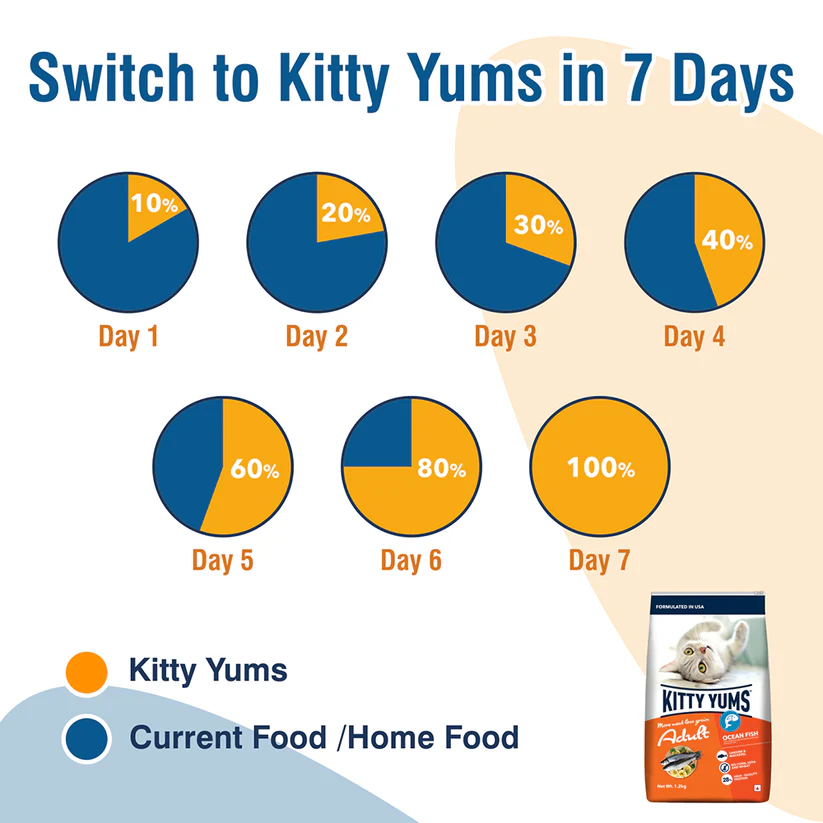 Kitty Yums Adult Ocean Fish | Dry Cat Food
