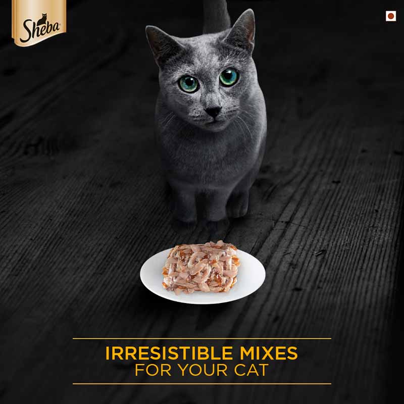 Sheba Tuna & Prawn Gravy Tins - 85 gm | Wet Cat Food