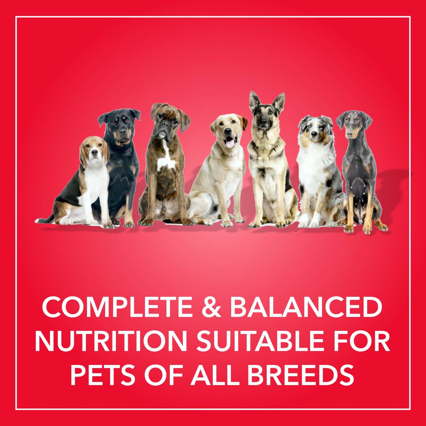 Purepet Adult Meat & Rice | Dry Dog Food