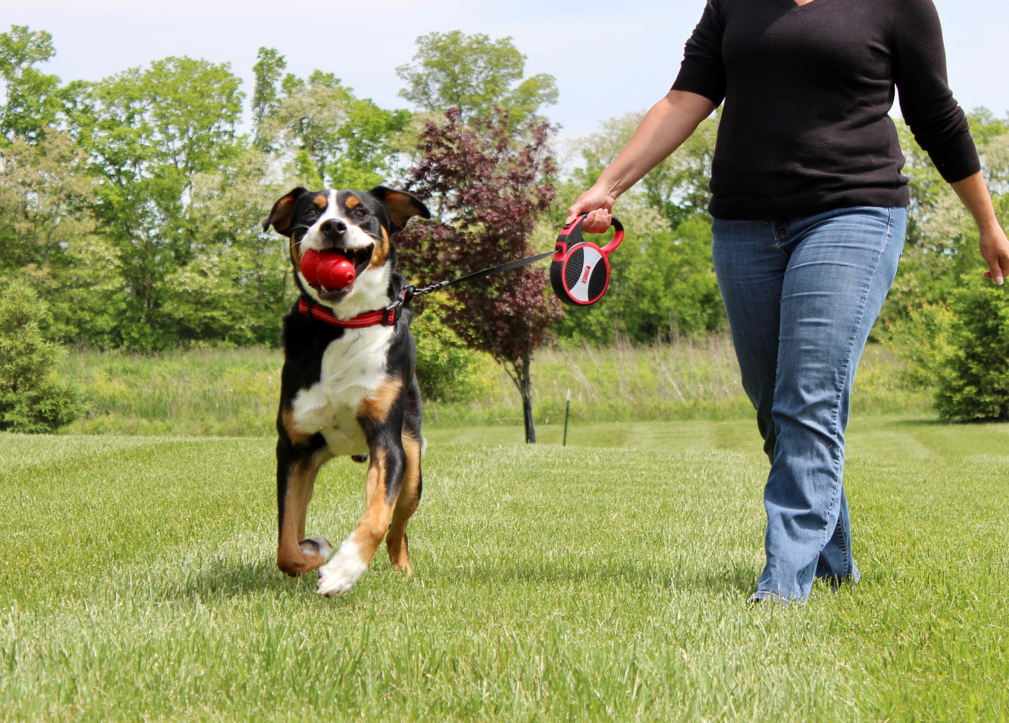 KONG Ultimate Retractable Leash
