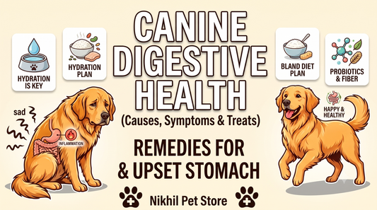Dog Diarrhea: Causes, Symptoms, and Safe Treatments