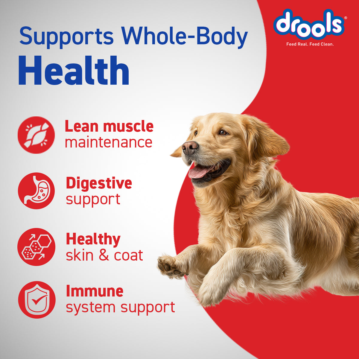 Drools Adult Chicken & Egg | Dry Dog Food