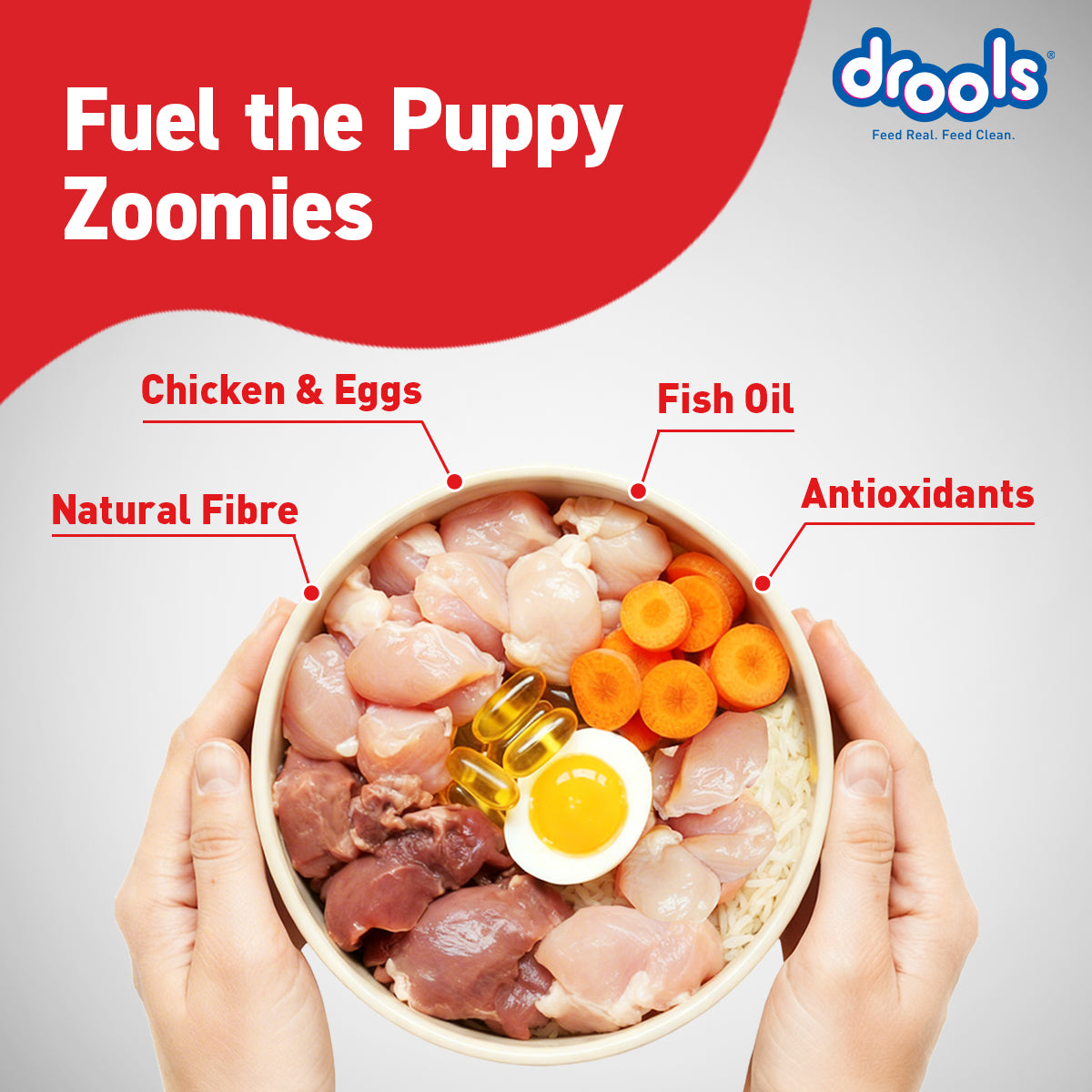 Drools Puppy Chicken & Egg | Dry Dog Food