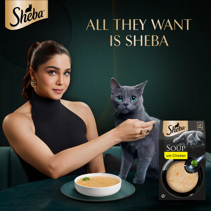 Sheba Soup with Chicken | Wet Cat Treats