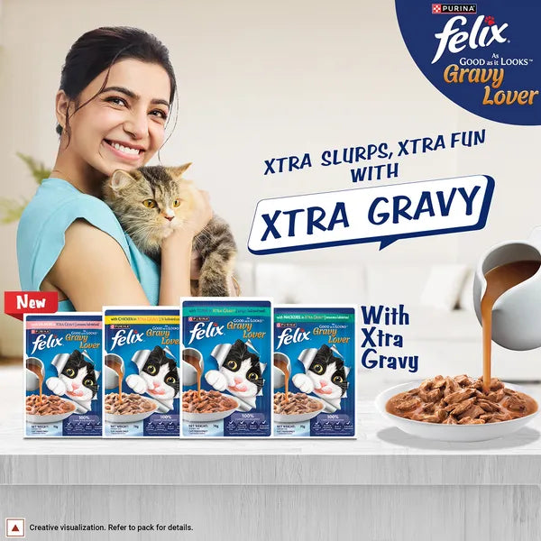 Felix Gravy Lover Salmon in Gravy | Wet Cat Food