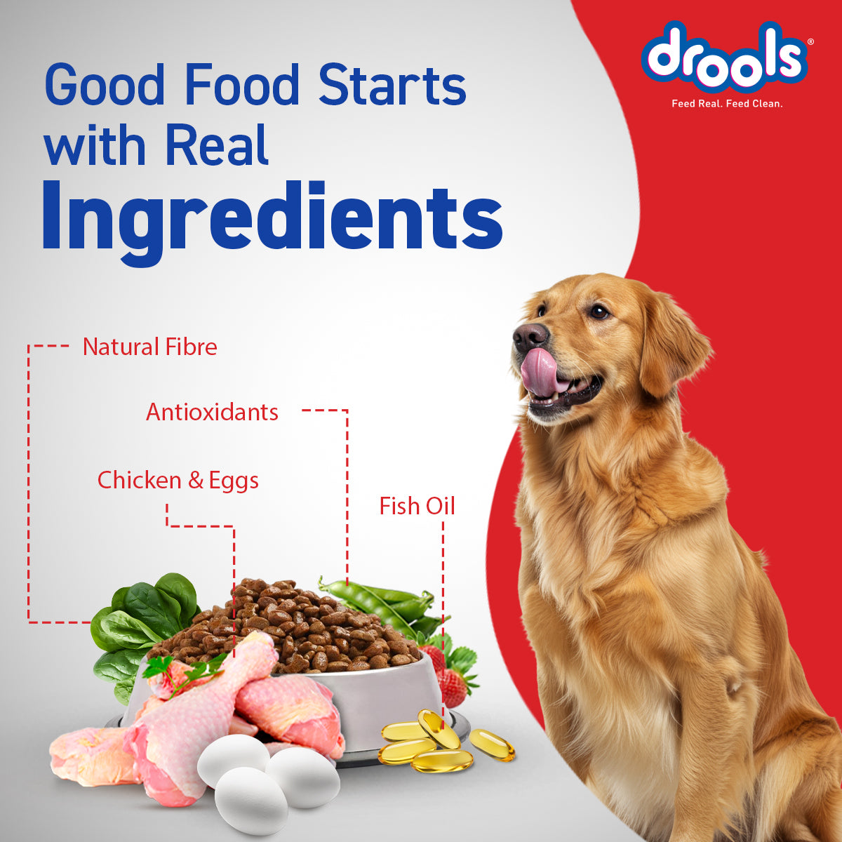 Drools Adult Chicken & Egg | Dry Dog Food