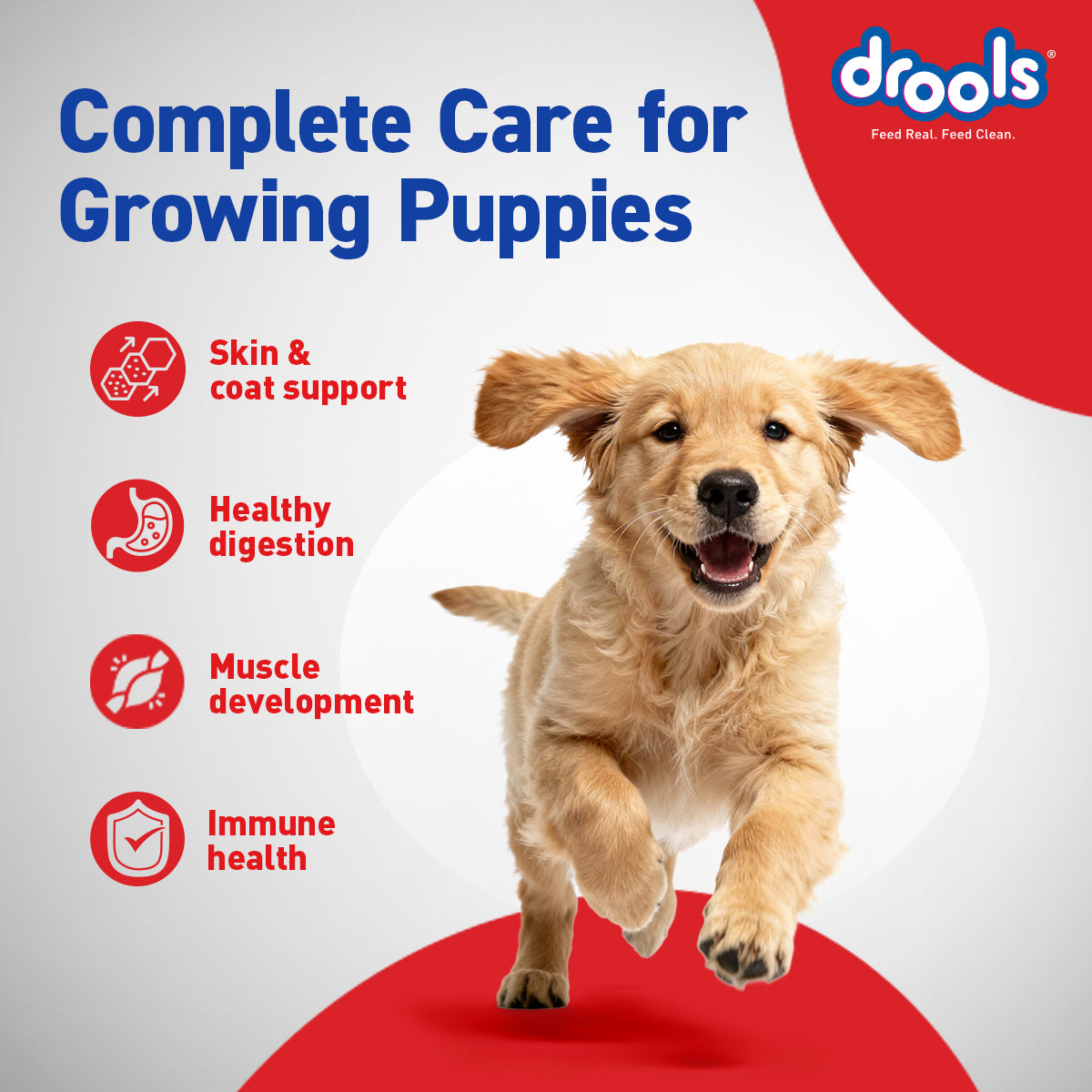 Drools Puppy Chicken & Egg | Dry Dog Food