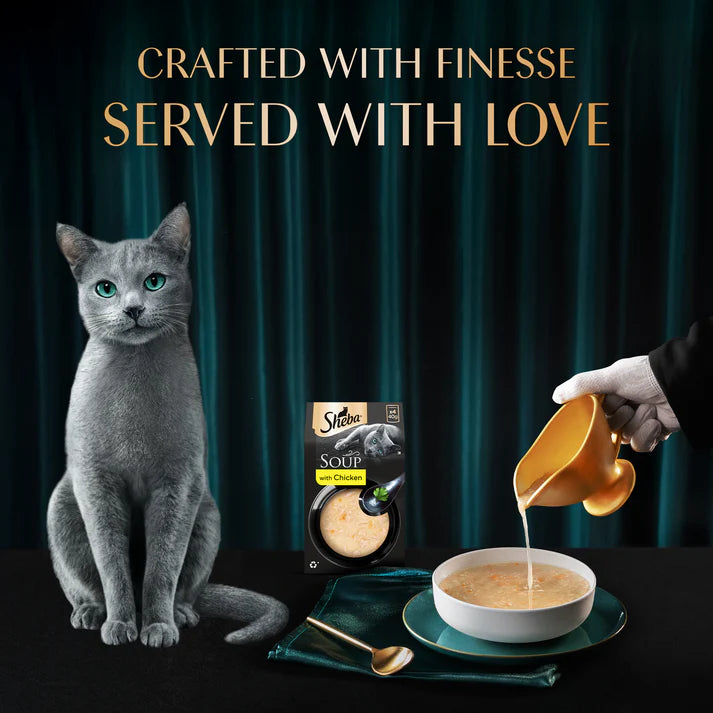 Sheba Soup with Chicken | Wet Cat Treats