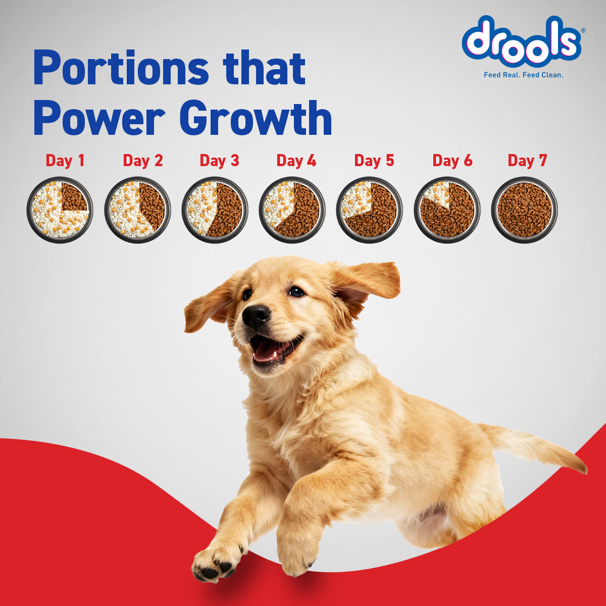 Drools Puppy Chicken & Egg | Dry Dog Food