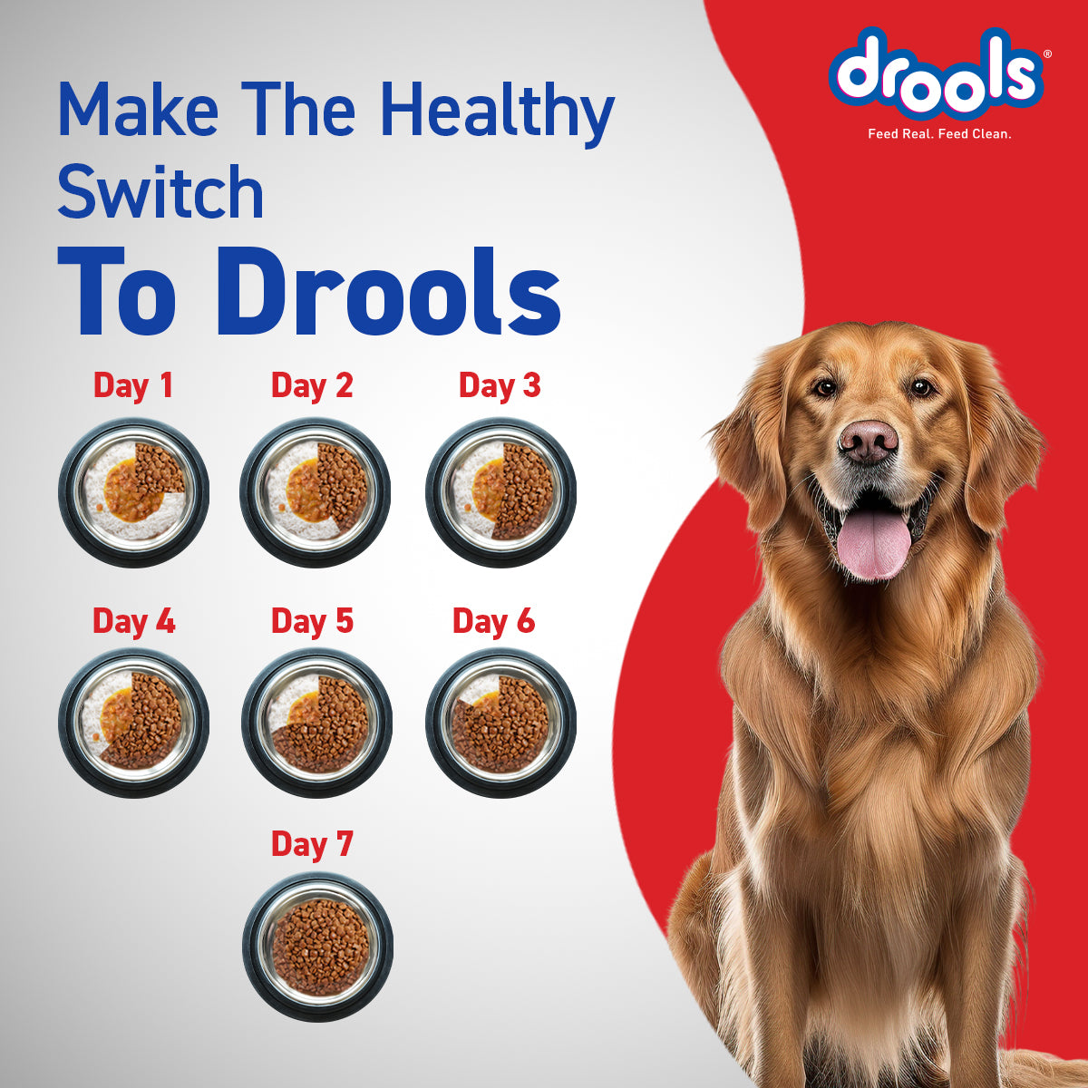 Drools Adult Chicken & Egg | Dry Dog Food