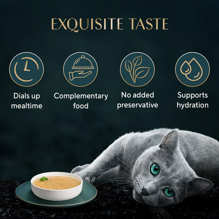 Sheba Soup with Chicken | Wet Cat Treats