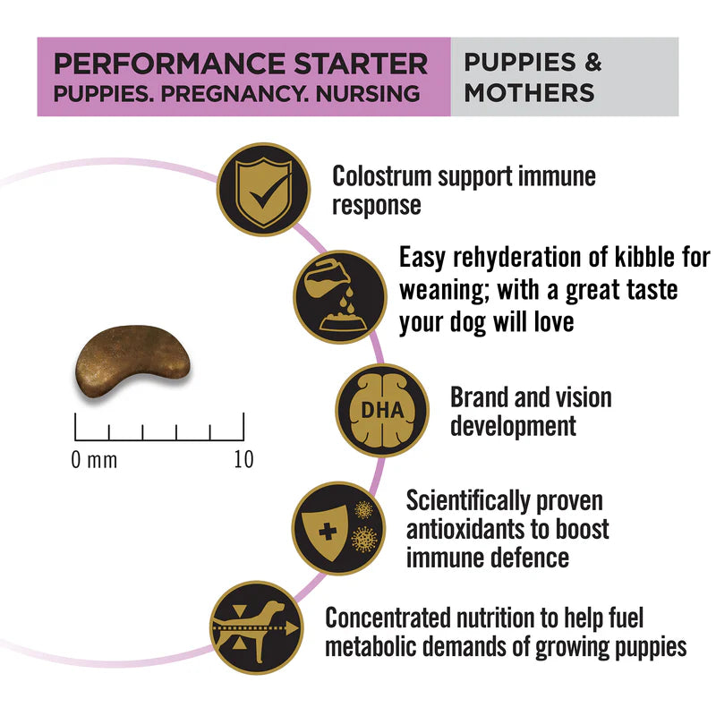 Purina Pro Plan Mother & Puppy Starter | Dry Dog Food