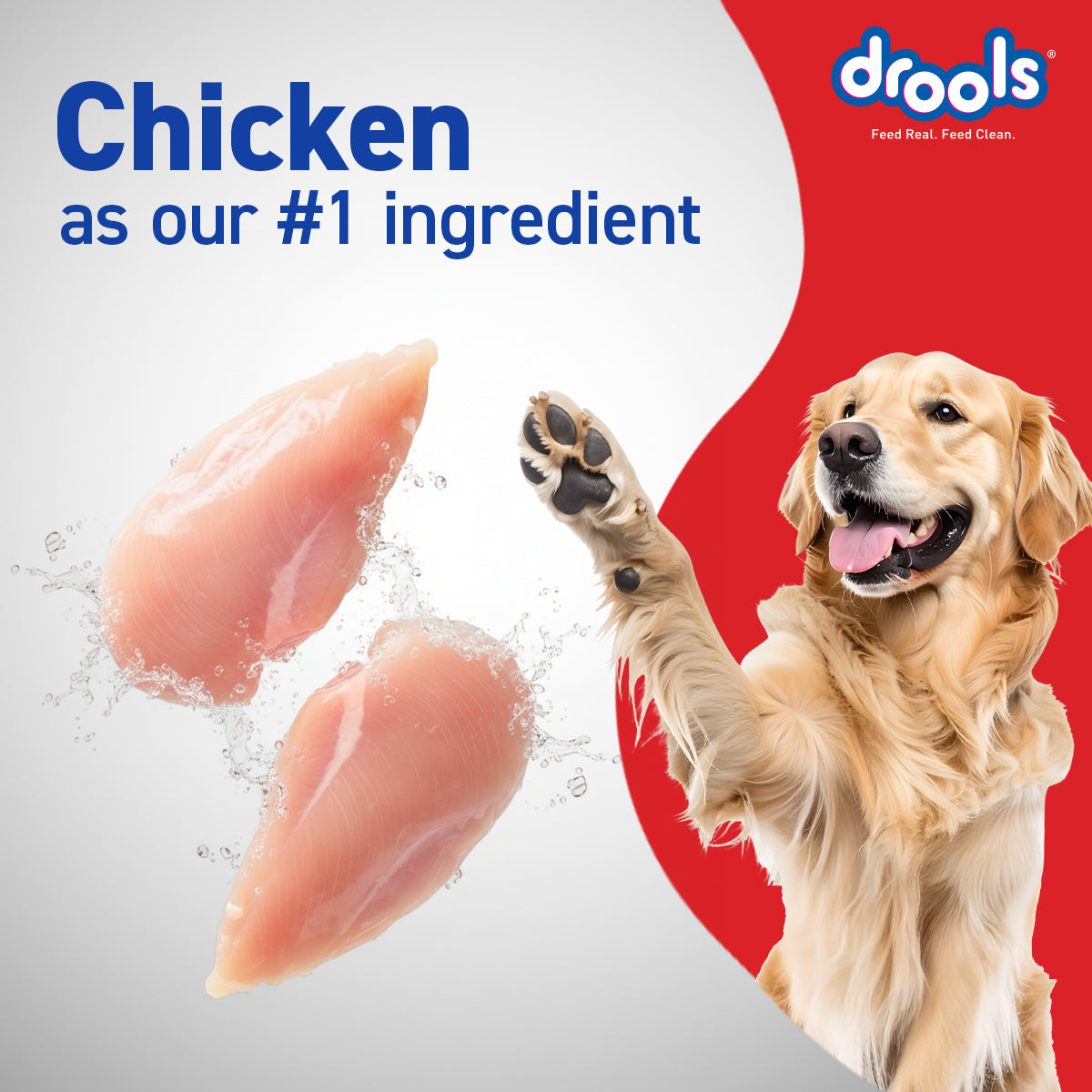 Drools Adult Chicken & Egg | Dry Dog Food