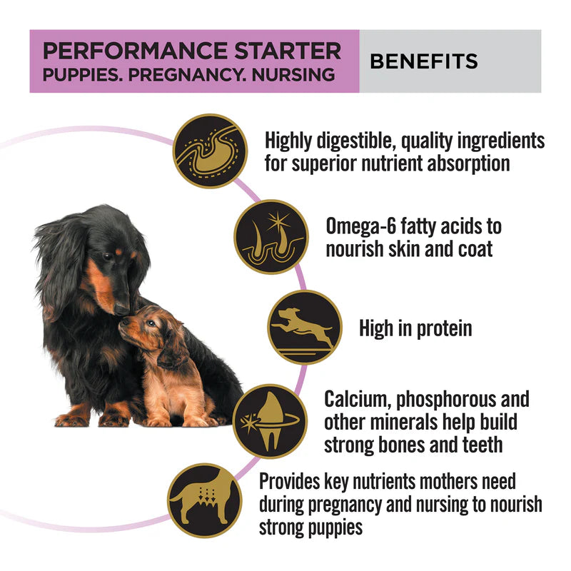 Purina Pro Plan Mother & Puppy Starter | Dry Dog Food