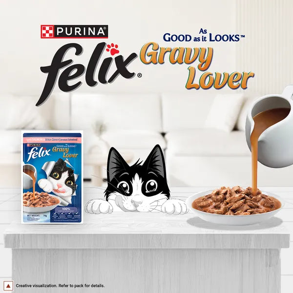 Felix Gravy Lover Salmon in Gravy | Wet Cat Food