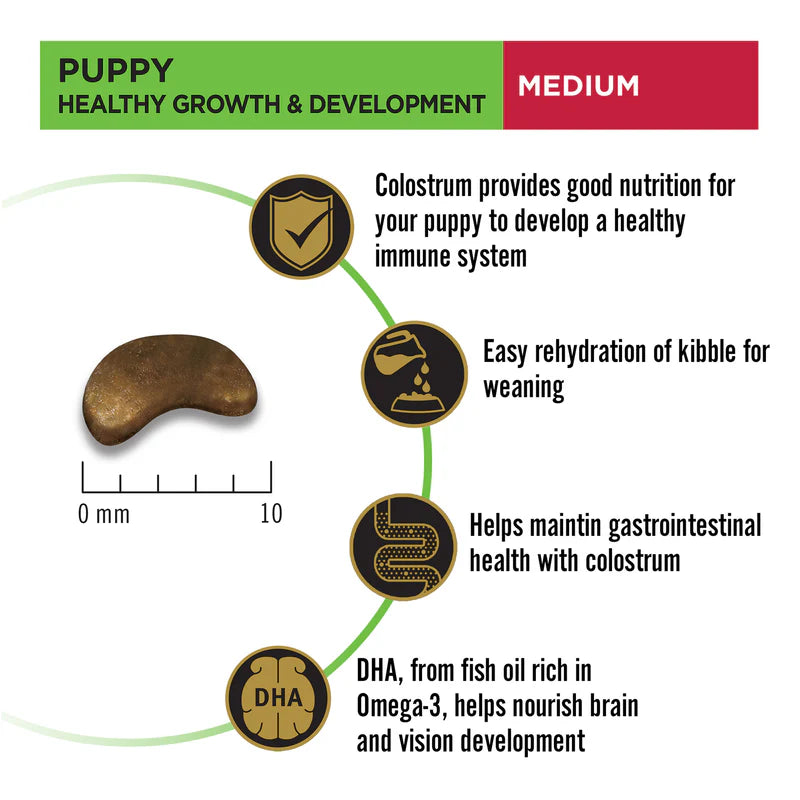Purina Pro Plan Medium Puppy | Dry Dog Food