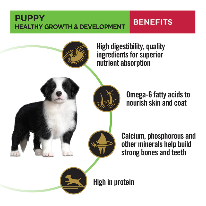 Purina Pro Plan Medium Puppy | Dry Dog Food