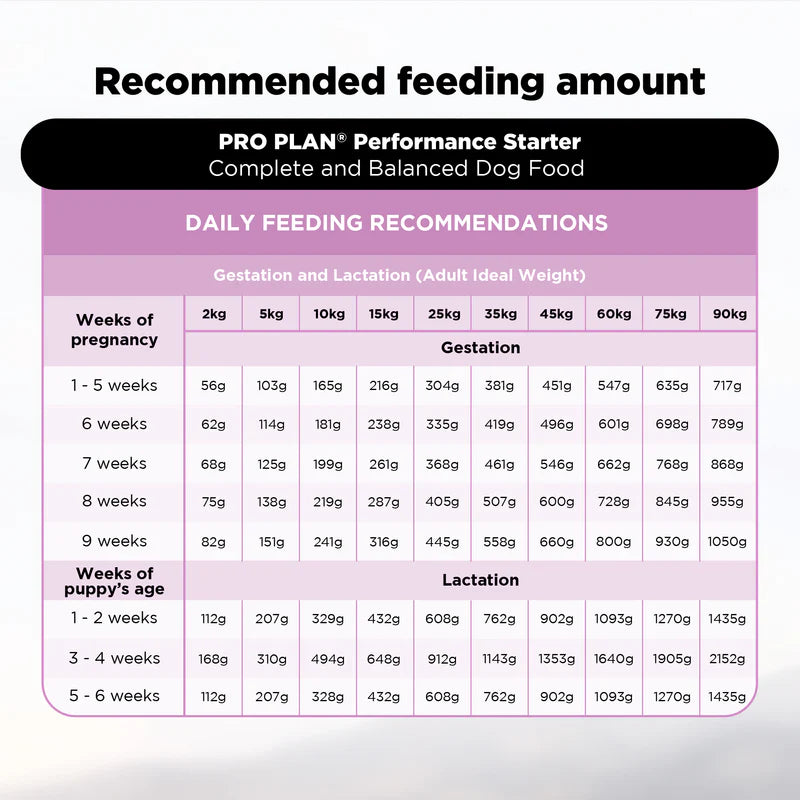 Purina Pro Plan Mother & Puppy Starter | Dry Dog Food