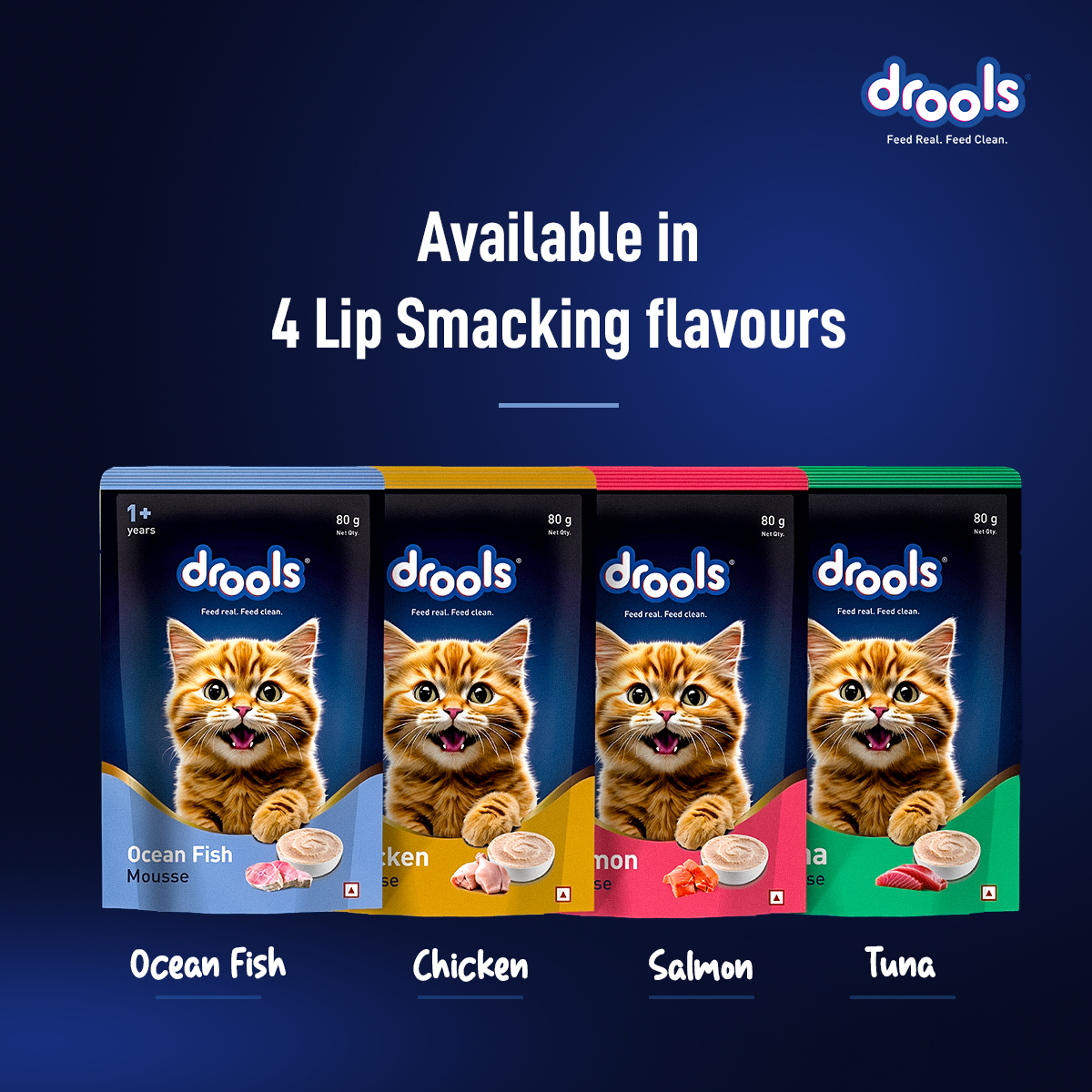 Drools Mousse Ocean Fish - 80 gm | Wet Cat Food