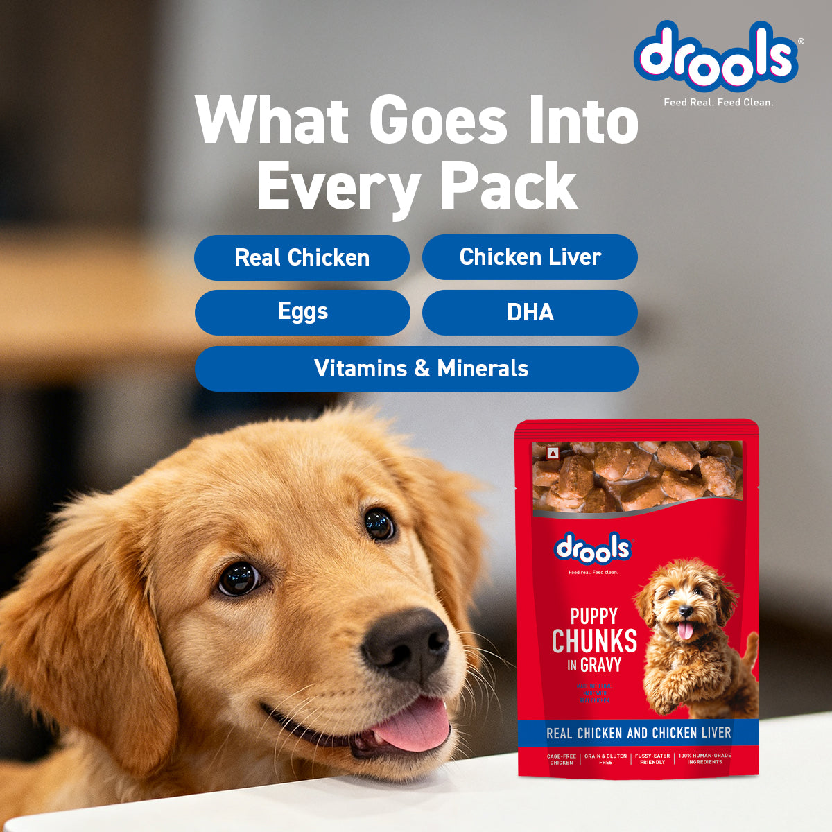 Drools Chicken & Liver Puppy Gravy | Wet Dog Food