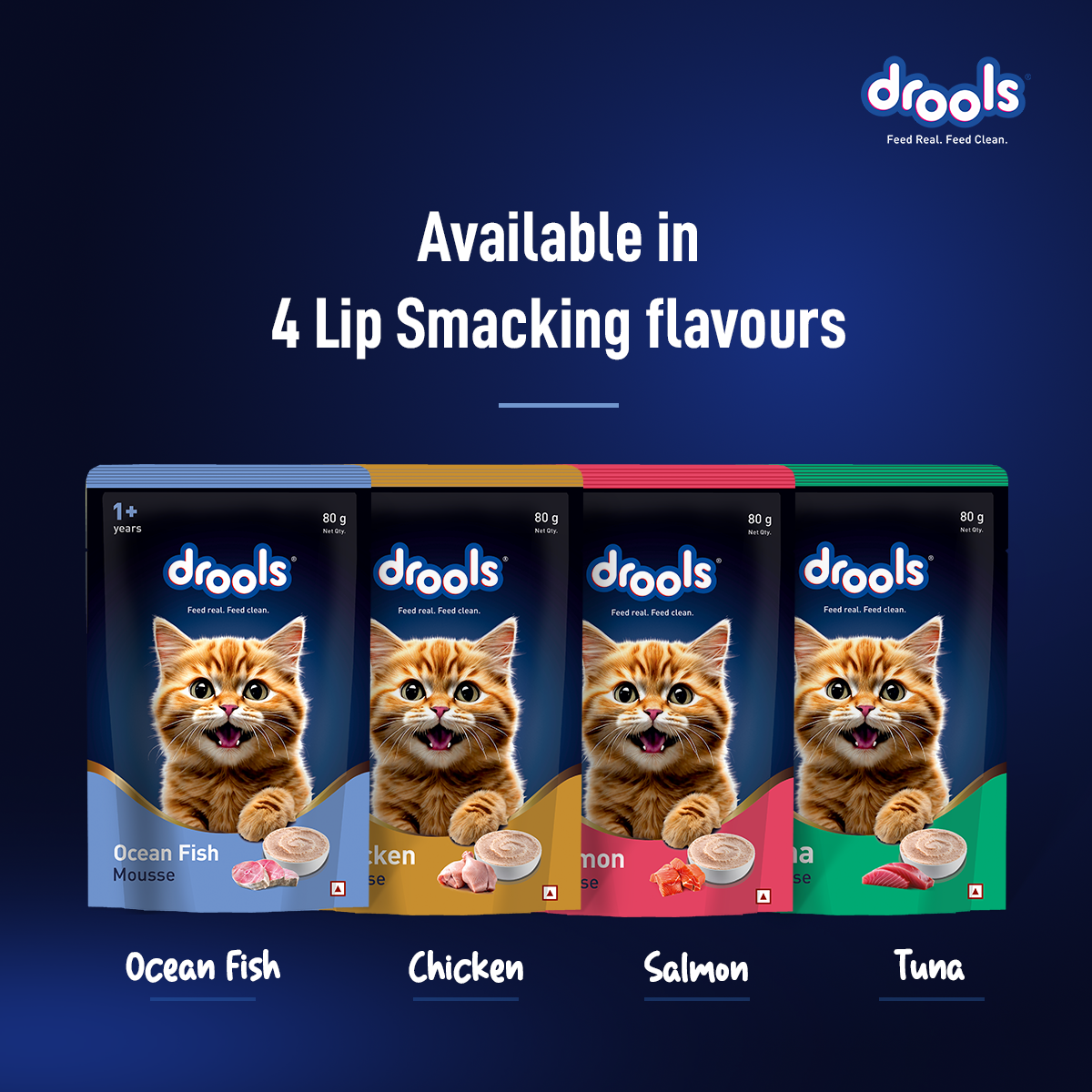 Drools Mousse Ocean Fish Kitten - 80 gm | Wet Cat Food