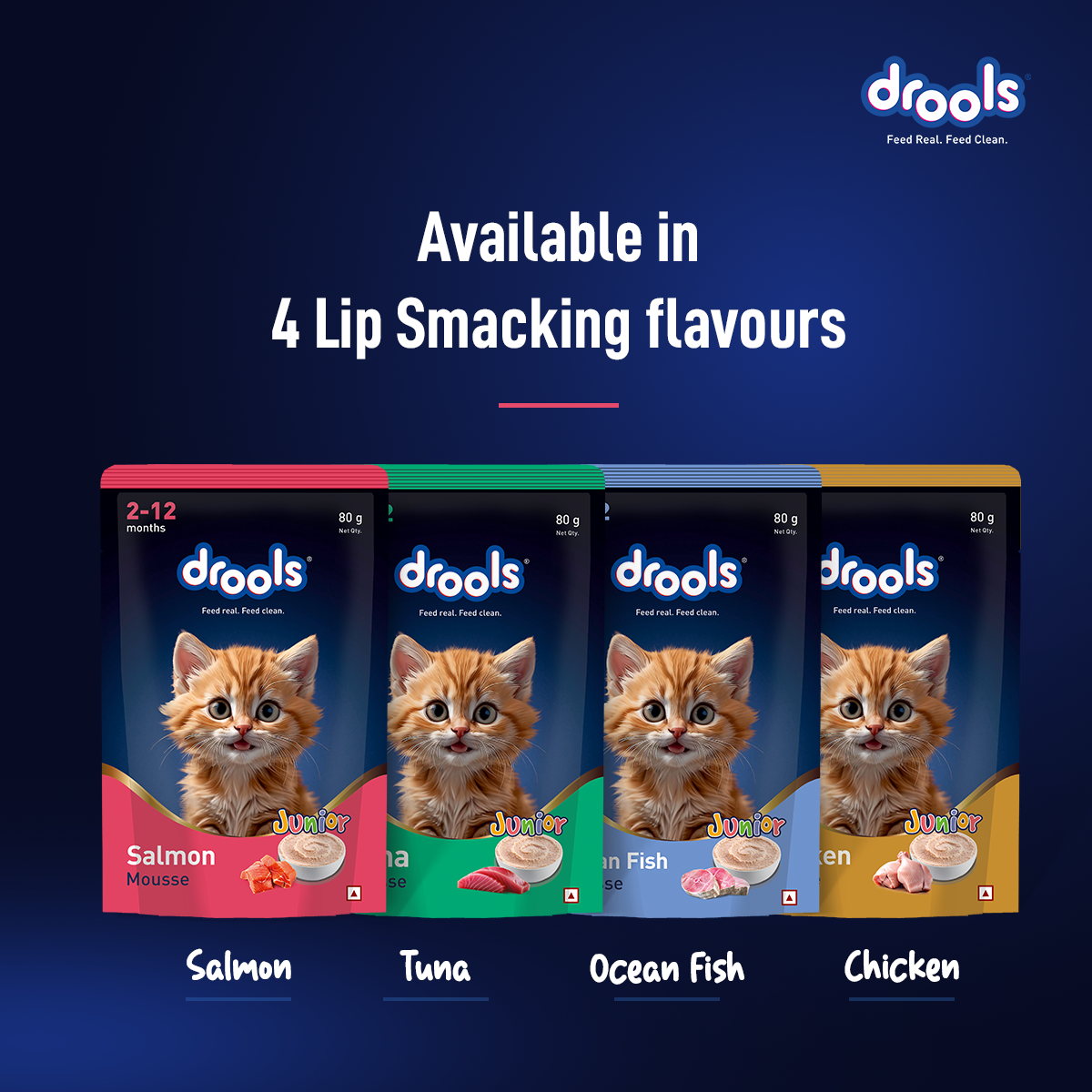 Drools Mousse Salmon Kitten - 80 gm | Wet Cat Food