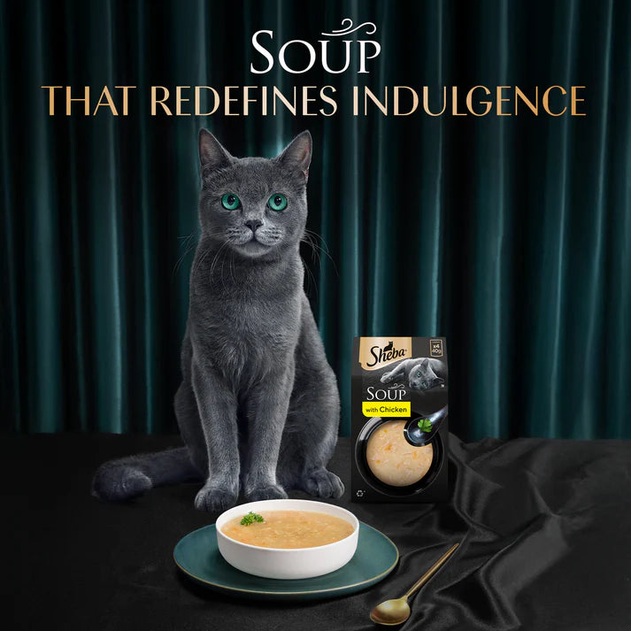 Sheba Soup with Chicken | Wet Cat Treats