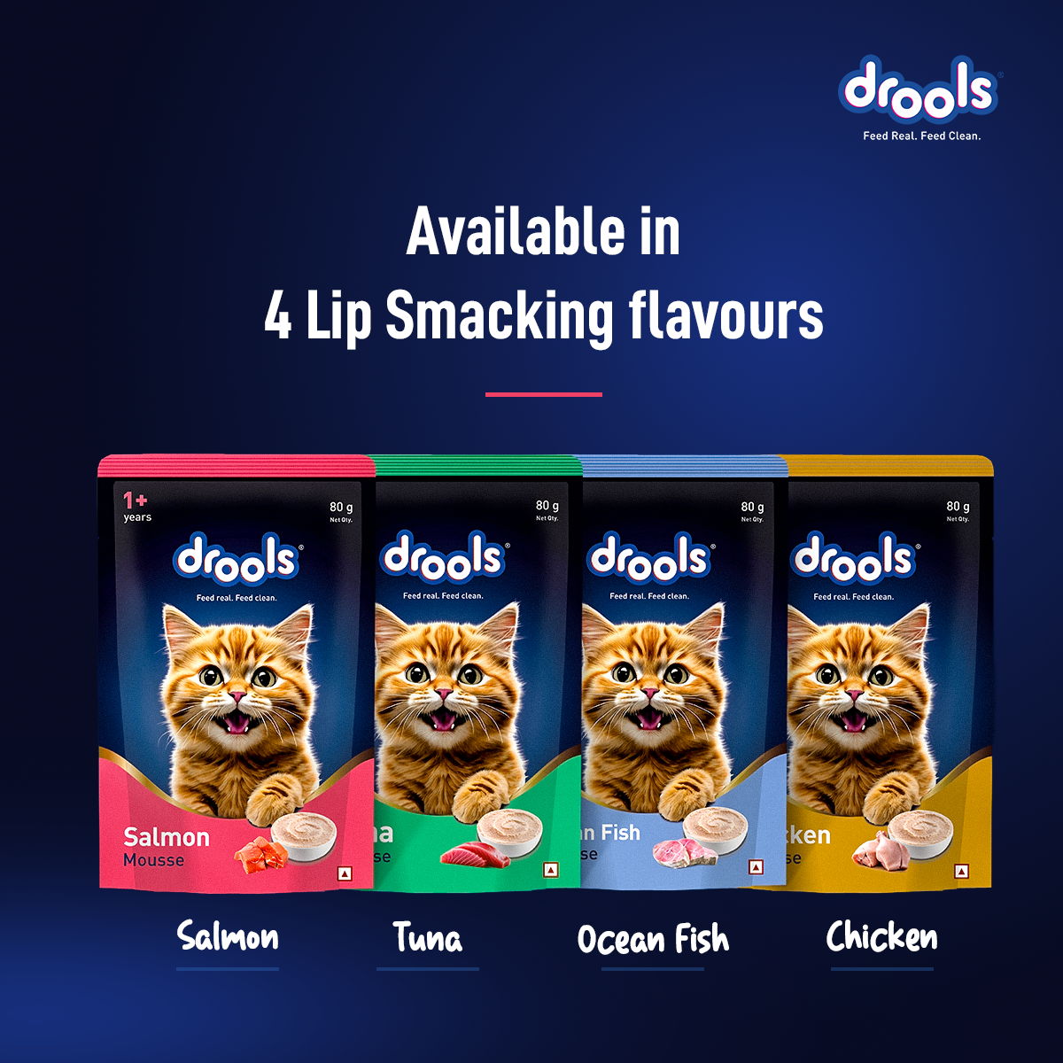 Drools Mousse Salmon - 80 gm | Wet Cat Food