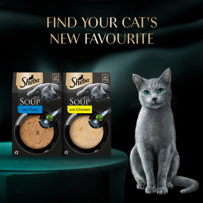Sheba Soup with Tuna | Wet Cat Treats