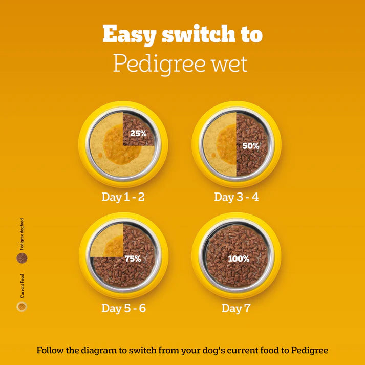 Pedigree Adult Roasted Lamb Gravy | Wet Dog Food
