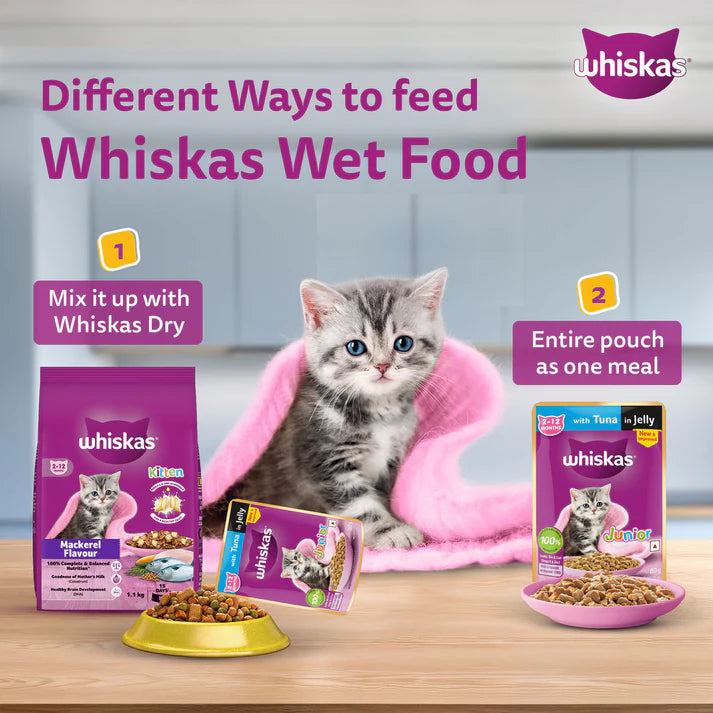 Whiskas Junior Chicken & Salmon Gravy | Wet Cat Food