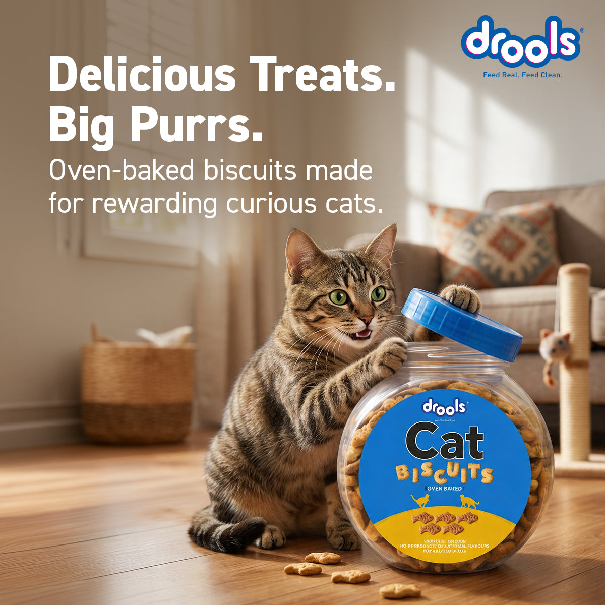 Drools Cat Chicken Biscuit 400 gm | Dry Cat Treats