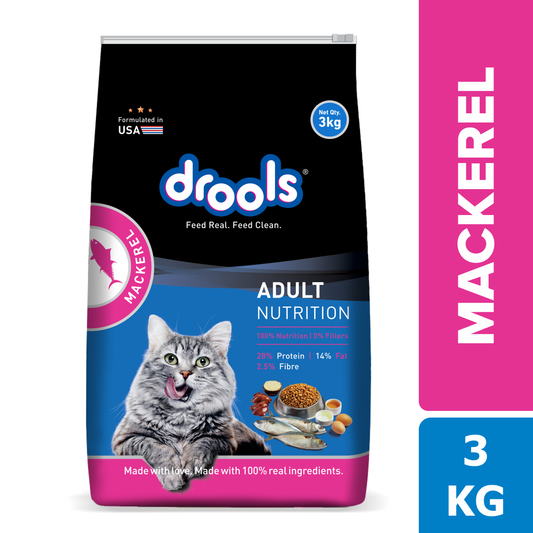 Drools Adult Mackerel | Dry Cat Food