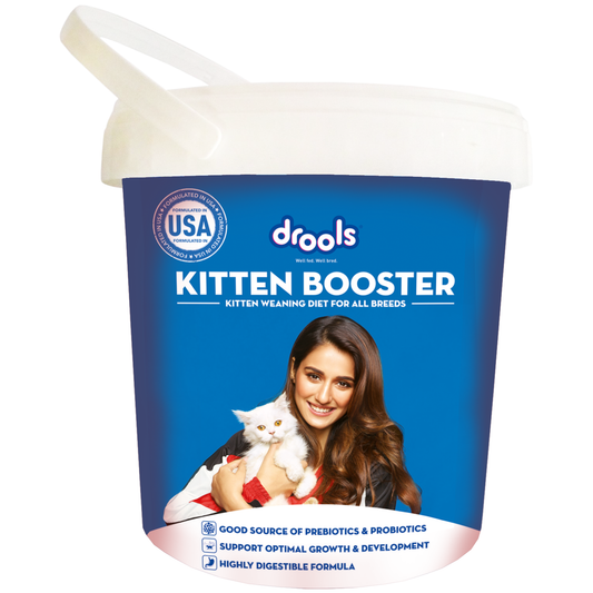 Drools Absolute Milk for Kittens | Pet Suppliment - Nikhil Pet Store