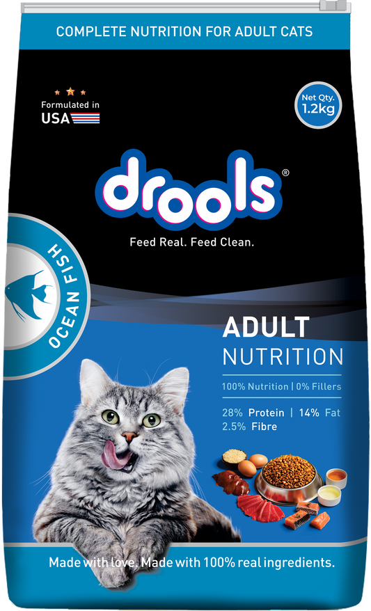 Drools Adult Ocean Fish | Dry Cat Food