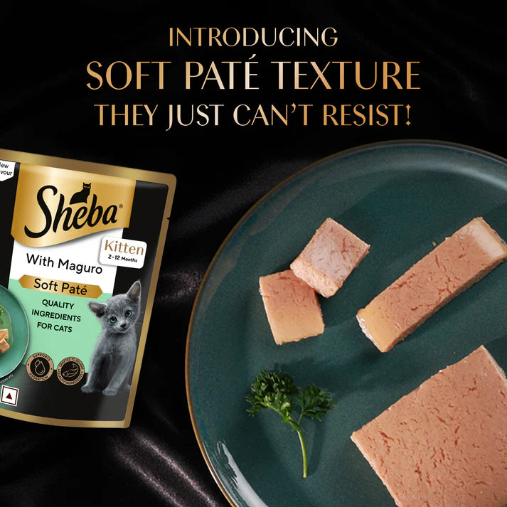 Sheba Kitten Maguro Pate | Wet Cat Food