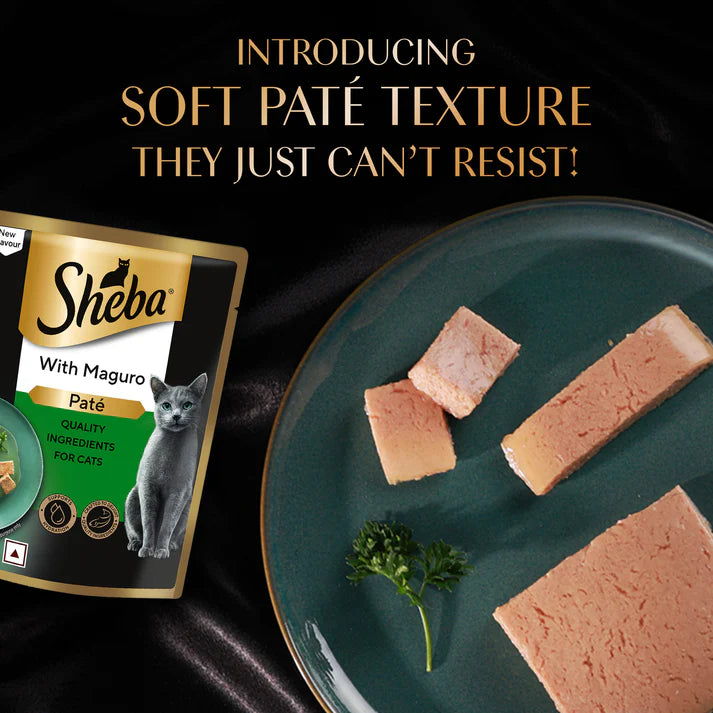 Sheba Maguro Pate | Wet Cat Food