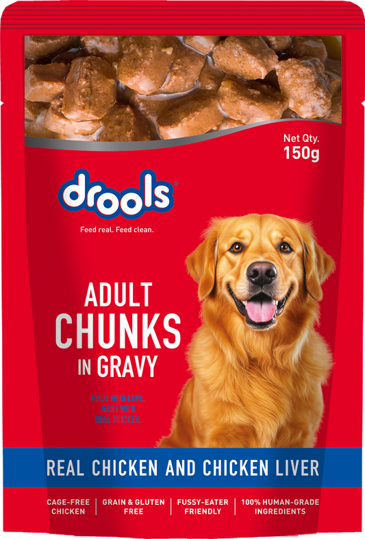 Drools Chicken & Liver Adult Gravy | Wet Dog Food