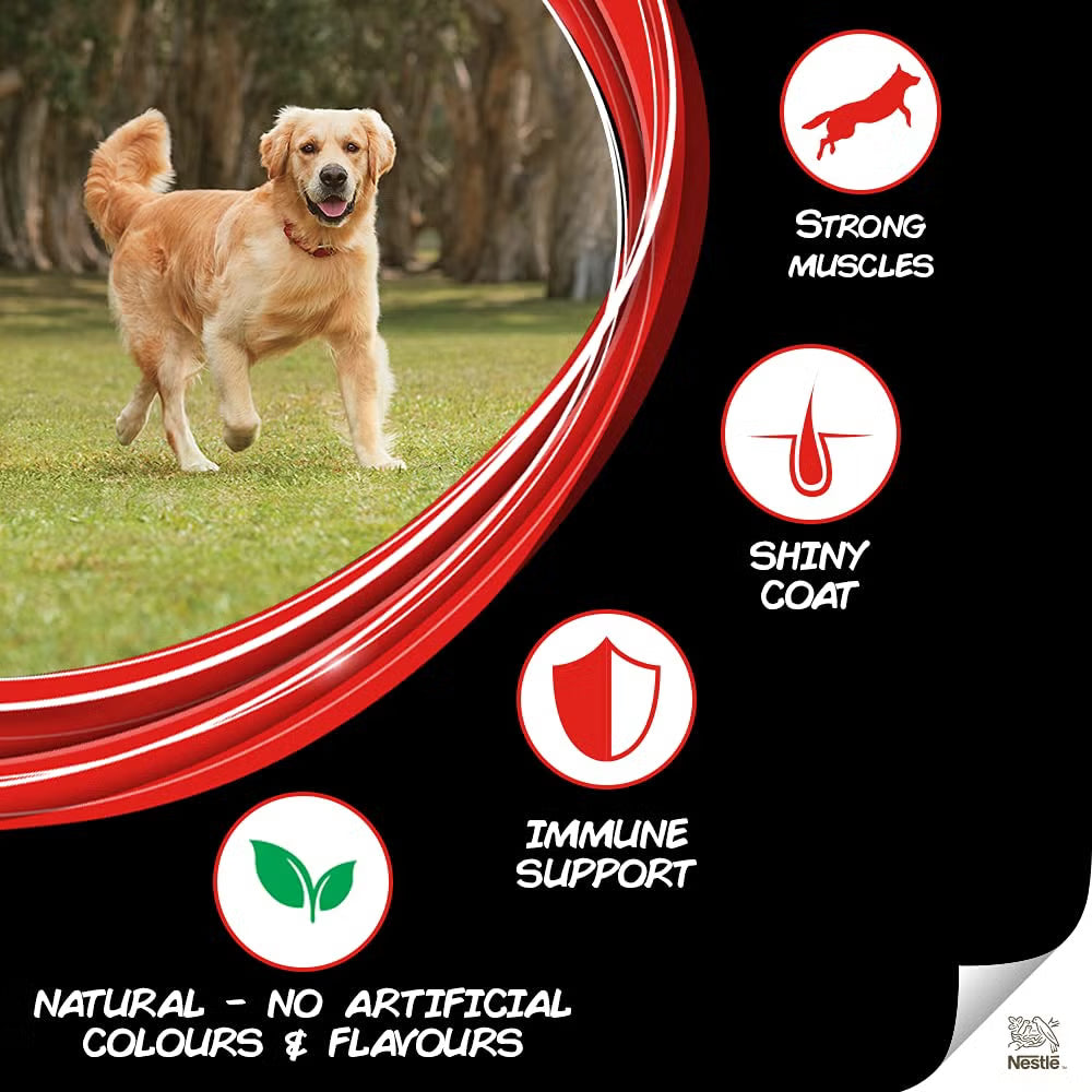 Purina SuperCoat Adult | Dry Dog Food
